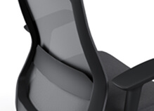 Ergonomic Mesh Backrest
